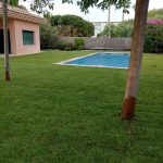 IMG20210712202421