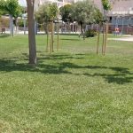 jardin comunitario 2