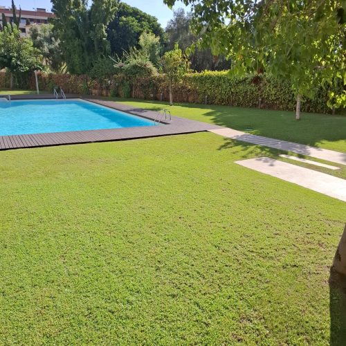 PHOTO-2025-09-20-22-10-37