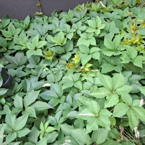 PHOTO-2025-09-20-22-10-57 6