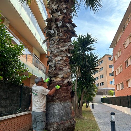 PHOTO-2025-09-20-22-10-58 4