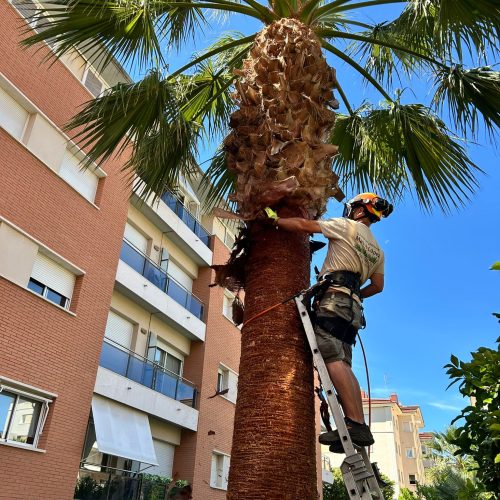 PHOTO-2025-09-20-22-10-58 5