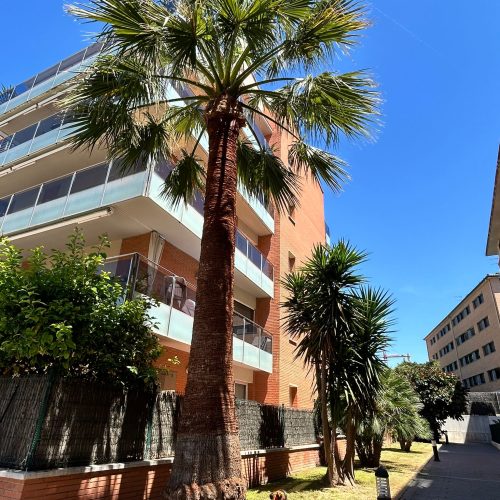 PHOTO-2025-09-20-22-10-58 6