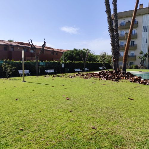 PHOTO-2025-09-20-22-10-59 6