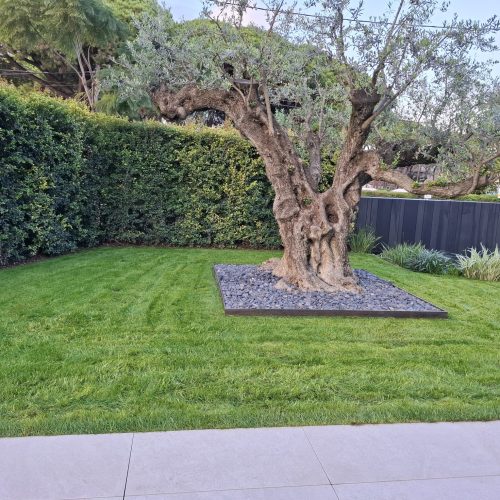 PHOTO-2025-09-20-22-11-00 3