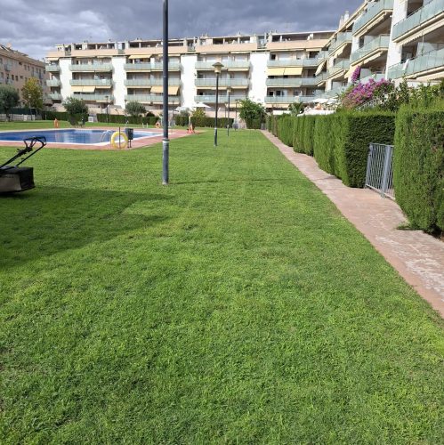 PHOTO-2025-09-20-22-11-00 4