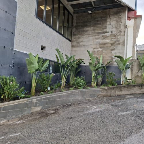 PHOTO-2025-09-20-22-11-01 2