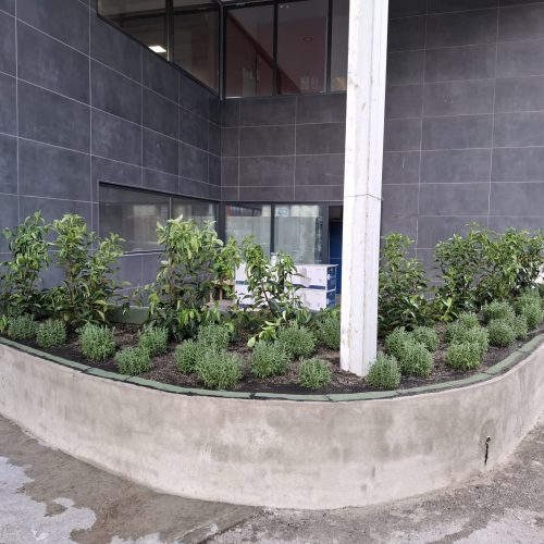 PHOTO-2025-09-20-22-11-01 3