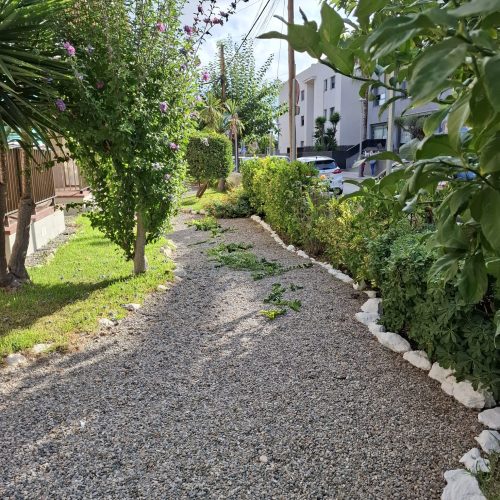 PHOTO-2025-09-20-22-11-01 6