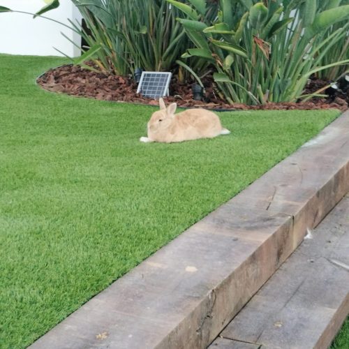 PHOTO-2025-09-20-22-11-03 5