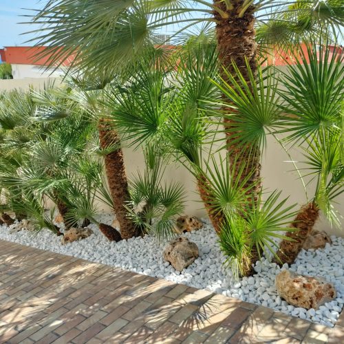 PHOTO-2025-09-20-22-11-04