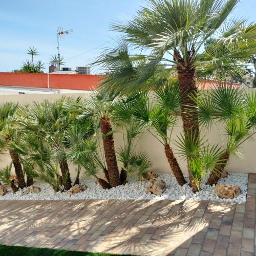 PHOTO-2025-09-20-22-11-04 2