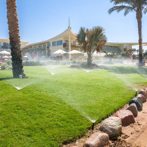 image-of-lots-of-garden-water-sprinklers-water-beautiful-green-grass-lawn-and-palm-trees-at-summer-beach-hotel-resort-scaled-1