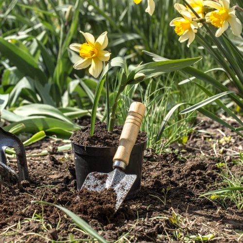 planting-flowers-in-the-garden-garden-tools-flowers-scaled-1